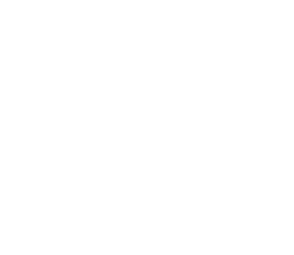 Najit 1